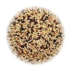 Ali Mangime Per Canarini Hobbyitalia