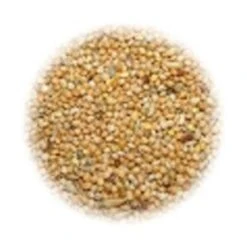 Ali Mangime Per Cocorite Universitalia Hobbyitalia