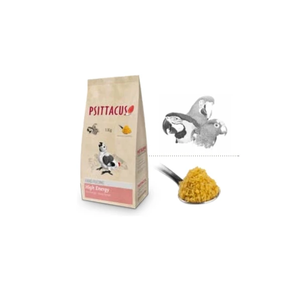 Pappa Alta Energia 3 Pappa Alta Energia