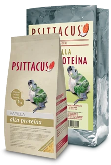 Psittacus Papilla HIGH Pr