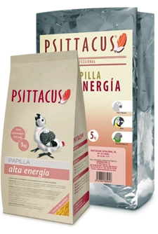 Psittacus Pappa Per Uccellini Di Alta Energia