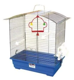 Mgz Alamber Karol Cage