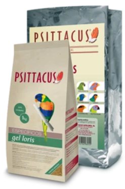 Psittacus Loris Gel