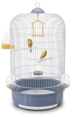 Imac Cage Birds Luna