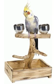 Sandimas Albero Reposaaves S / M