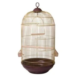 Arquivet Kit 2 Gabbie Lugano