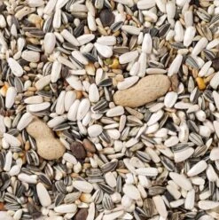 Deli Nature Parrots -Uccelli Forniture Negozio DeliNature 60 Papegaai Basis 2 63c501fde5ba5 g