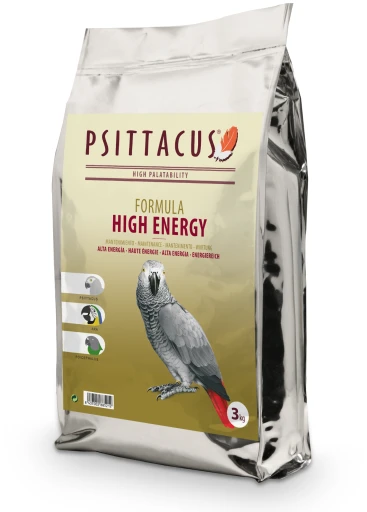 Psittacus Alta Energia 3 Psittacus Alta Energia