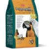 Padovan Cibo Secco Grandmix Pappagalli -Uccelli Forniture Negozio pienso grandmix pappagalli 1 g