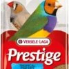 VERSELE-LAGA Versele Laga Prestige Uccelli Esotici -Uccelli Forniture Negozio tropical finches prestige para pajaros exoticos 1 g